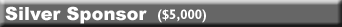 Silver Sponsor ($5,000)